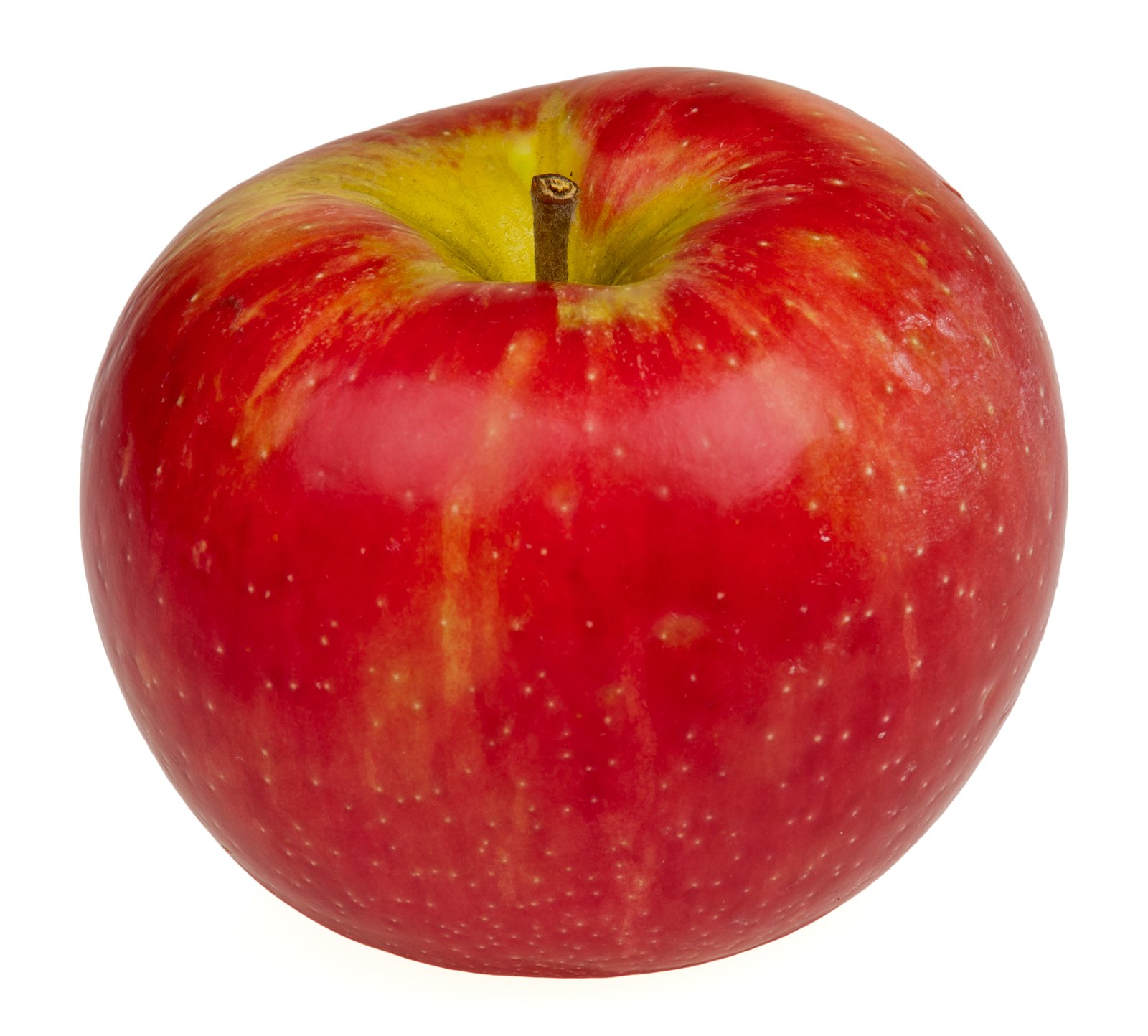 Honeycrisp Apple